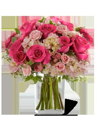 ♥(¯`´•.¸(¯`´•.¸PEMBE GÜLLER ¸.•´´¯)¸.•´´¯)♥