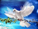 ♥♥♥♥♥(¯`'•GÜNAYDIN '´¯)♥♥♥♥♥