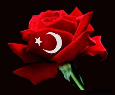 HARİKA
