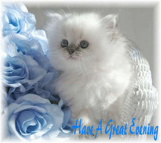 have a great evening