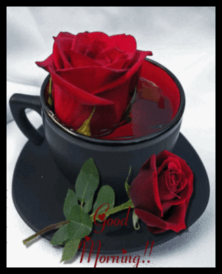 good morning