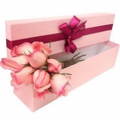  Happy Womens Day 