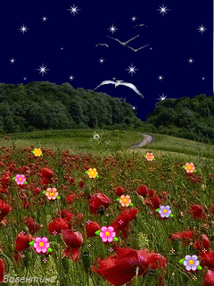 good night