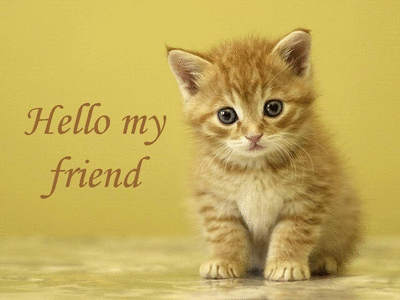 hello my friend