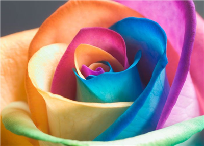 Fiore
