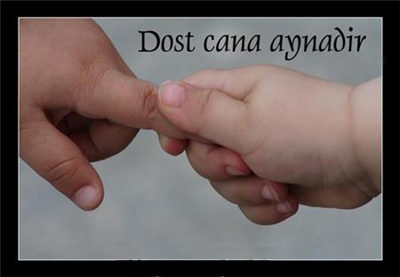 Dost cana aynadır