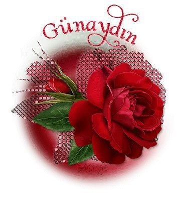 günaydın