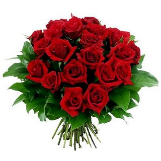 Rose Rosse