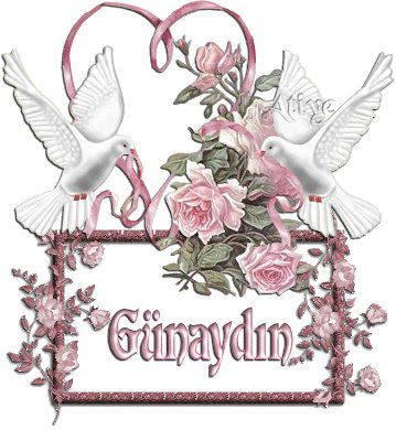 GÜNAYDIN