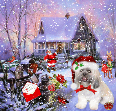 Merry Christmas And Happy New Year flowers