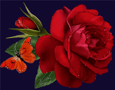 HAVE A NİCE DAY