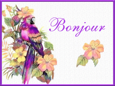 BONJOUR