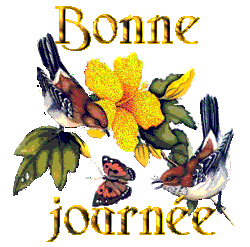 Bonne journee