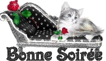 bonne soiree
