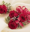 ╔═════════════════๑ ƸӜƷ ๑ ❤๑ ƸӜƷ ๑ ═════════════════╗