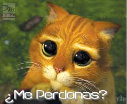 perdon
