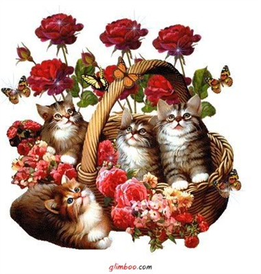 cats