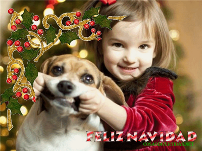 Feliz Navidad Y Feliz Año Nuevo