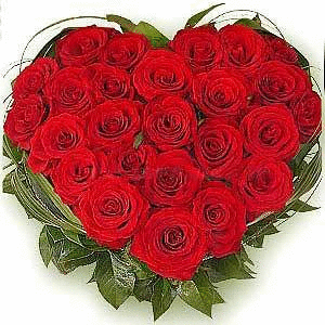 heart