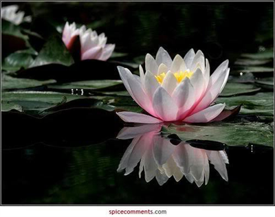 ¯`'•.¸(¯`'•.¸*♥♥♥♥*¸.•'´¯)​¸.•'´¯) ♥(¯`'•.¸(¯`'•.¸*♥♥*¸.•'´¯)​¸.•'´¯)♥ ♥♥(¯`'•.¸(¯`'•.¸**¸.•'´¯)¸​.•'´¯)♥♥ ...--==---- İYİ GÜNLER-------==- (_¸.•'´(_¸.•'´*♥♥♥♥*`'•.¸_​)`'•.¸_) ♥(_¸.•'´(_¸.•'´*♥♥*`'•.¸_)​`'•.¸_)♥ ♥♥(_¸.•'´(_¸.•'´**`'•.¸_)`​'•.¸_)♥♥