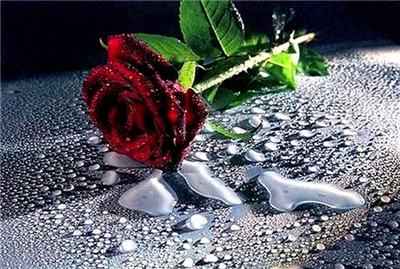 per te 
