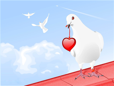 cuore
