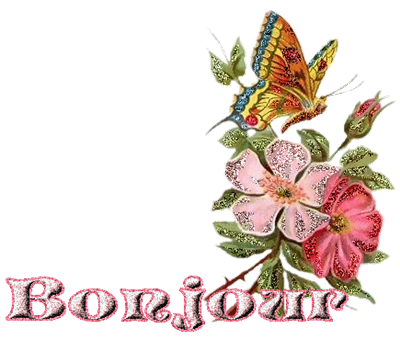 Bonjour