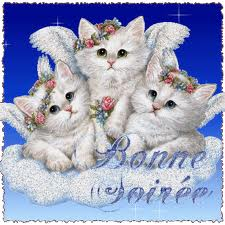 Bonne journee