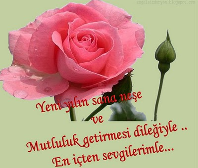 YENİ YILINIZ KUTLU OLSUN