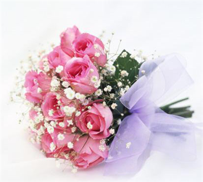 PİNK ROSES