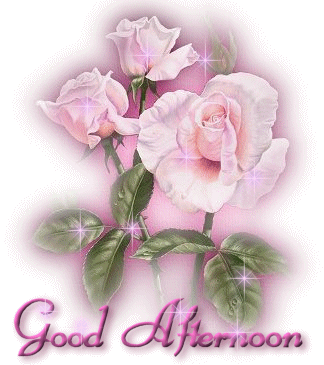 good afternoon