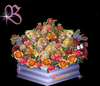 good afternoon