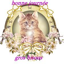 bonne journee