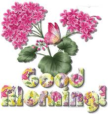 GOOD MORNİNG