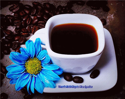 GOOD MORNİNG