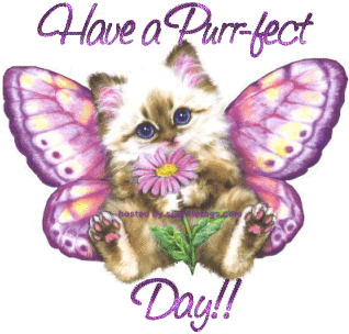 HAVE A PURRFECT DAY