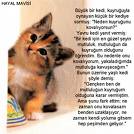şiir2