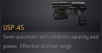 USP .45