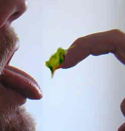 Eco Booger