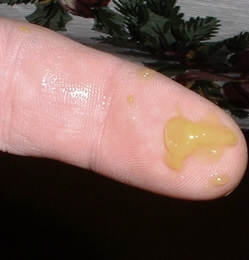 Slimey Booger