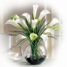 Calla lilies -white