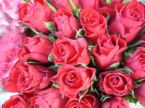 Roses -pink bouquet