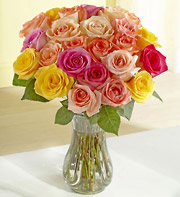 Roses -multi