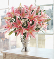 Oriental lilies