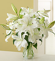 lilies