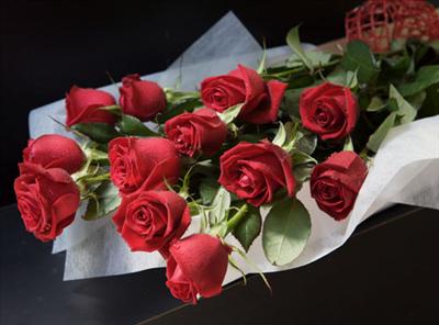 Roses