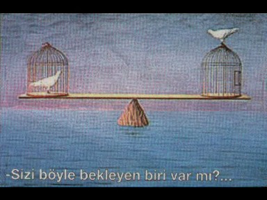 KUŞLAR
