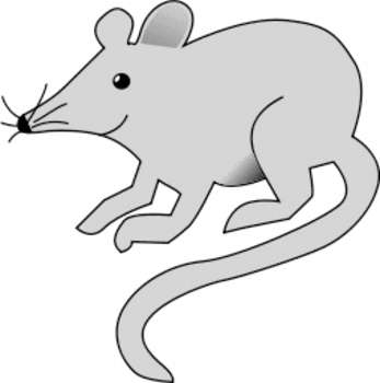Mouse