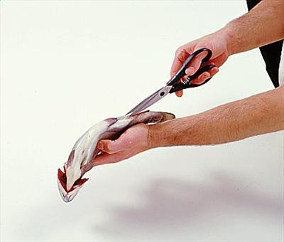 Clean a Fish