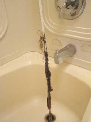 Clean Hair Out of the Shower Drain